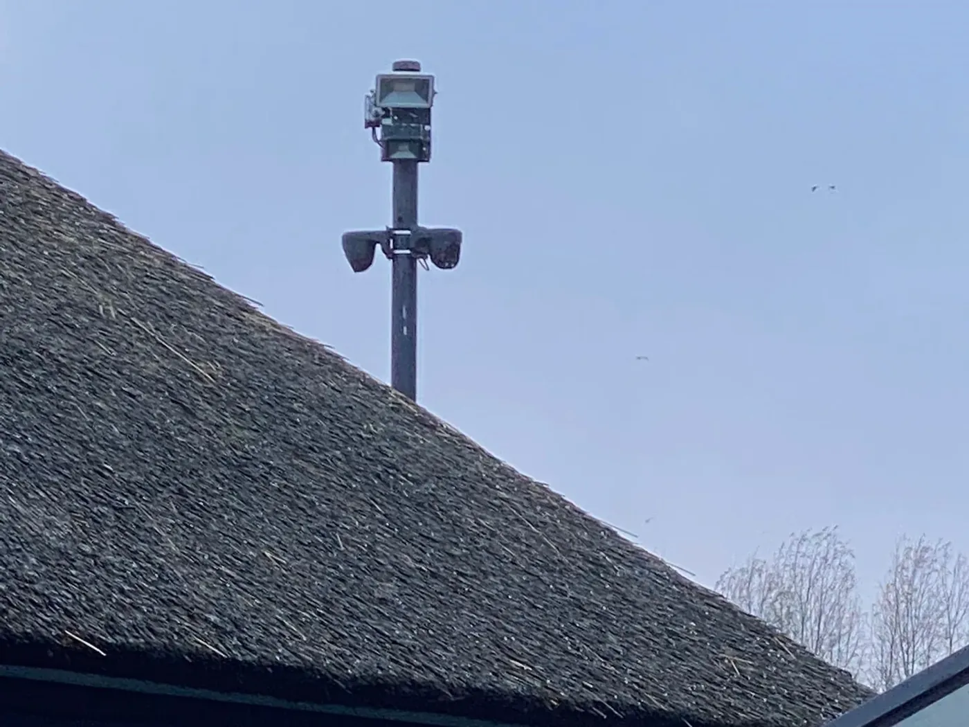 Camera op een paal die uitkijkt over een rieten kap